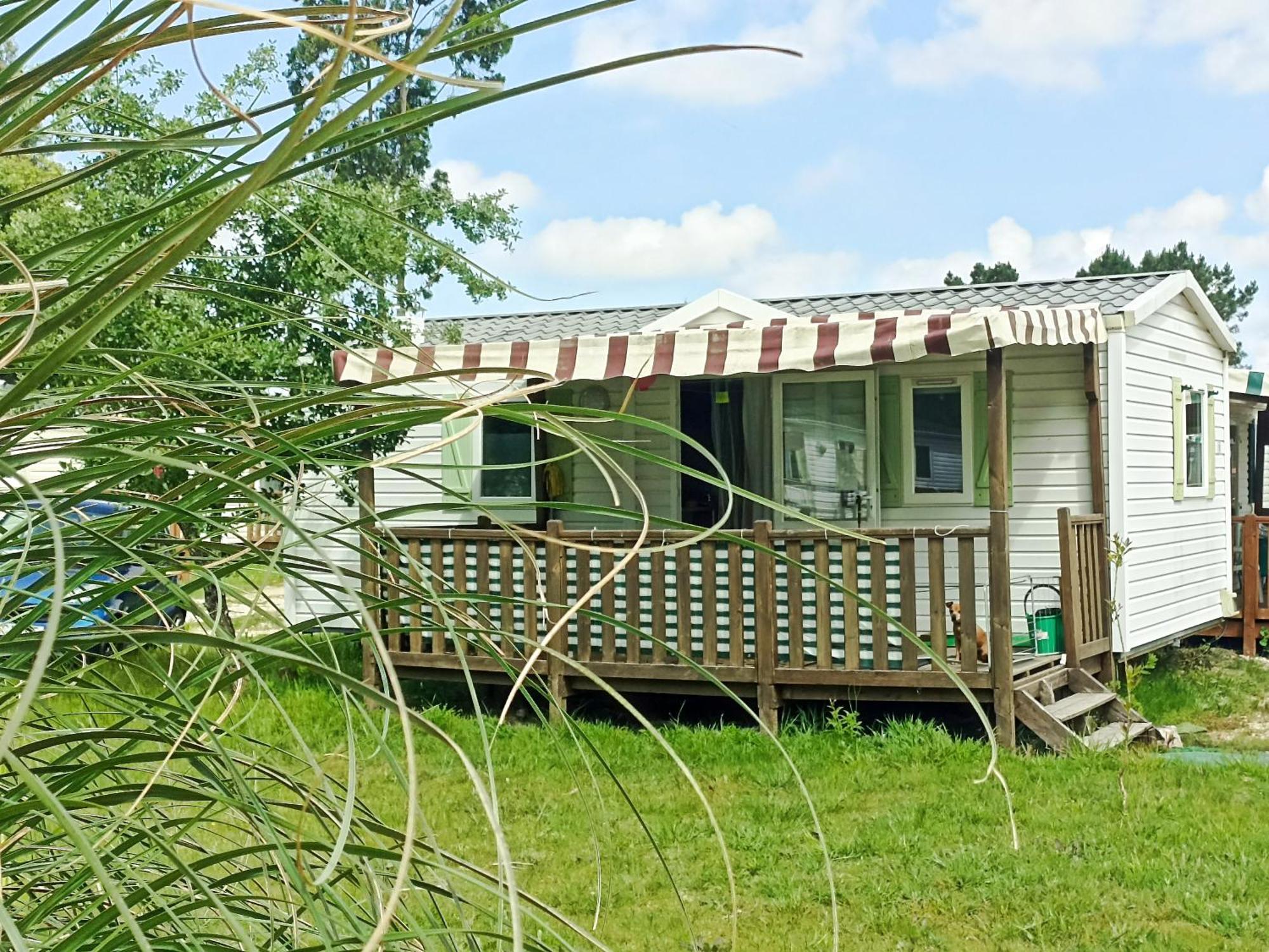 Tinyhouse Tilda - Near Famous Beaches Патаяш Екстер'єр фото