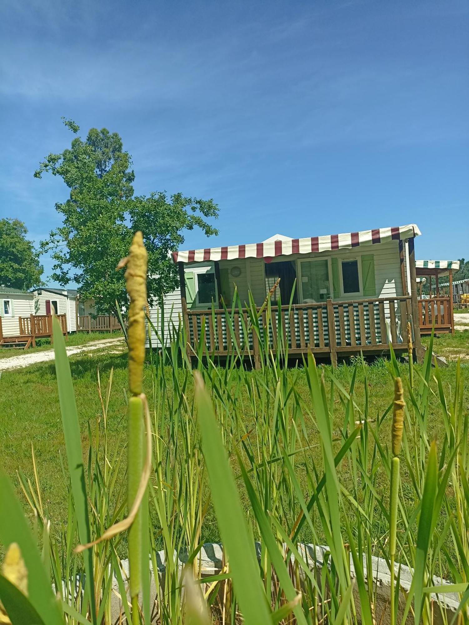 Tinyhouse Tilda - Near Famous Beaches Патаяш Екстер'єр фото